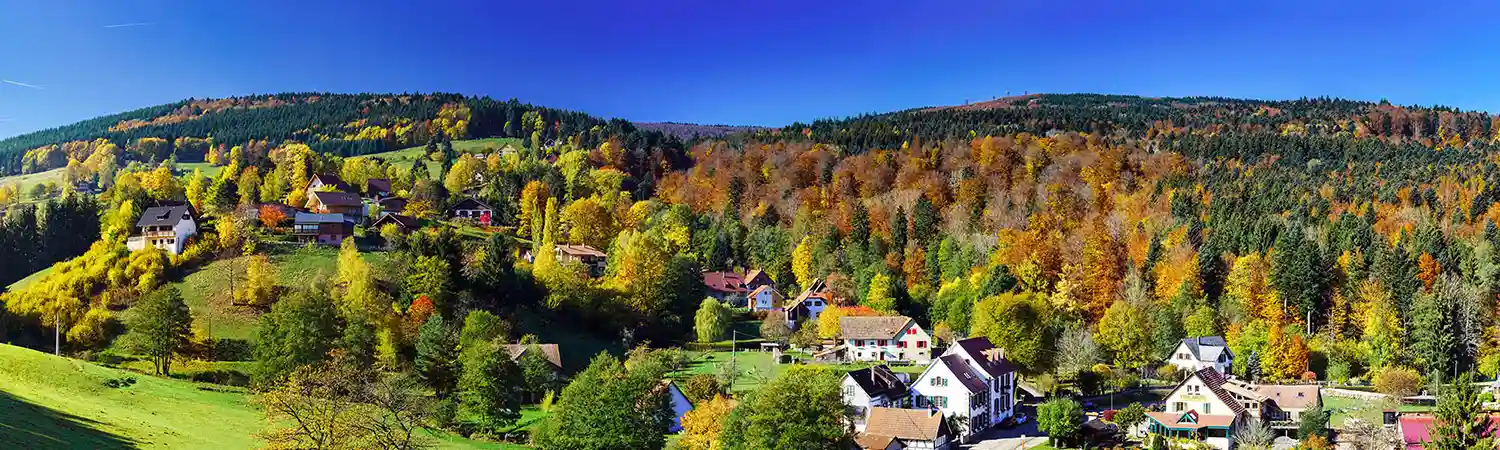 Christmas in the Black Forest - JG Explorer