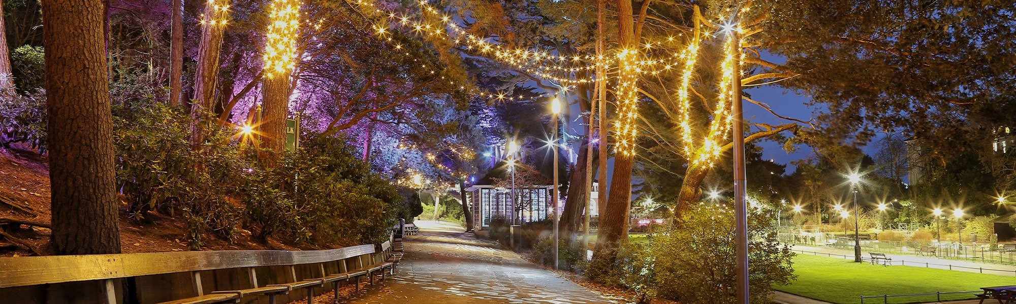 Christmas in Hampshire & the Isle of Wight