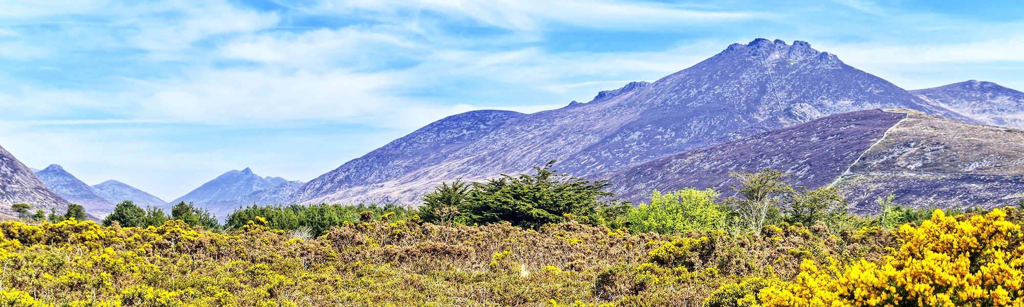 Mourne Mountains, Titanic & Giant's Causeway - JG Explorer