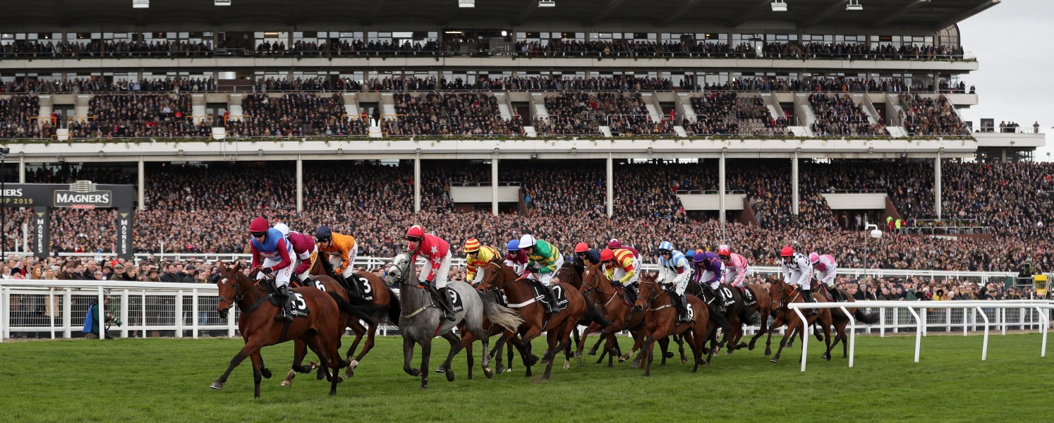 tourhub | Just Go Holidays | Cheltenham Gold Cup - Agent Only 