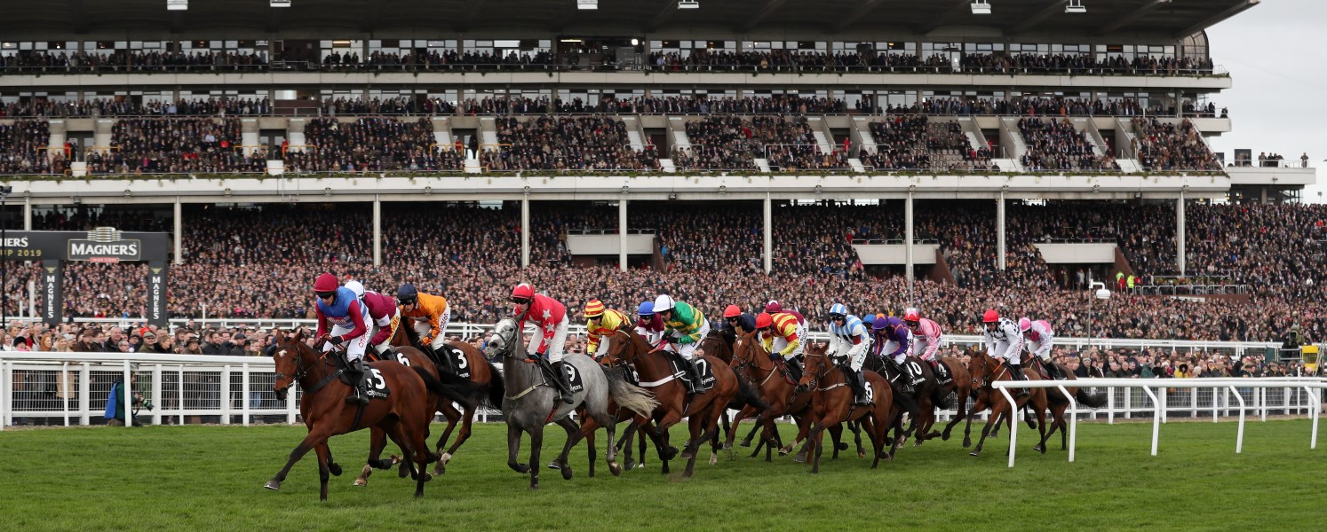 The Cheltenham Gold Cup Experience