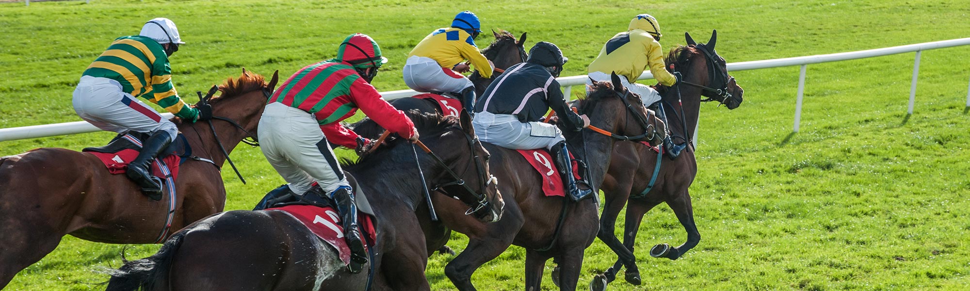The Grand National Experience