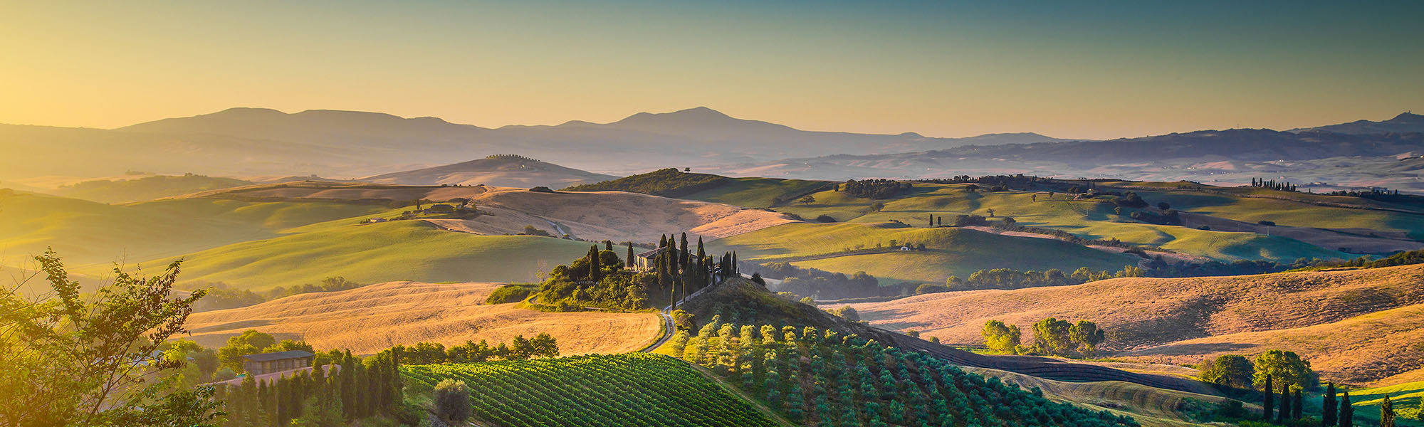 Tuscany Coast & Pisa Inclusive