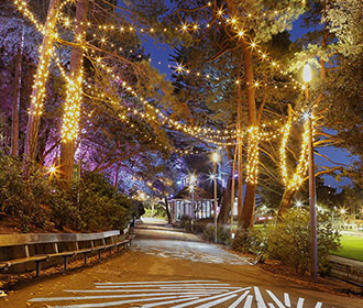 Bournemouth & the New Forest – Turkey & Tinsel