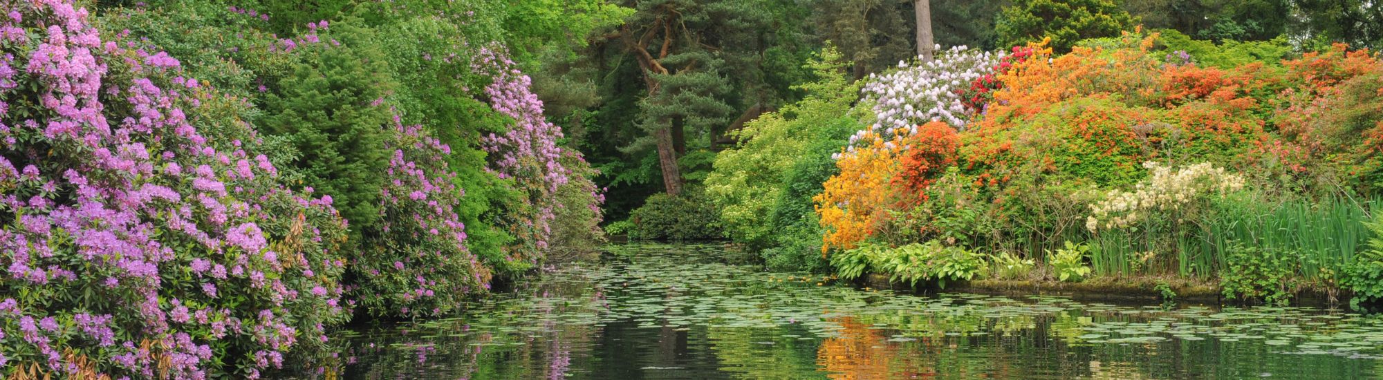 tourhub | Just Go Holidays | Charming Cheshire, Tatton Park & Border Towns of North Wales 