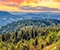 Black Forest