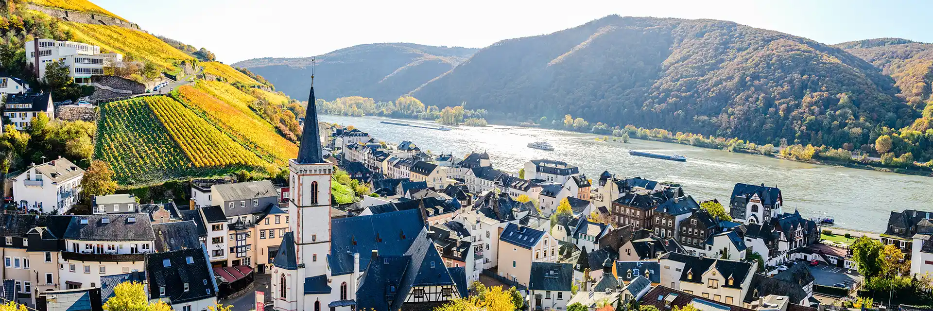 Cruising the Rhine Christmas Markets