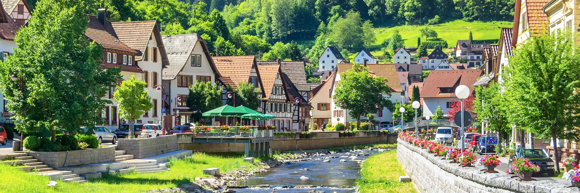 The Beautiful Black Forest - JG Explorer
