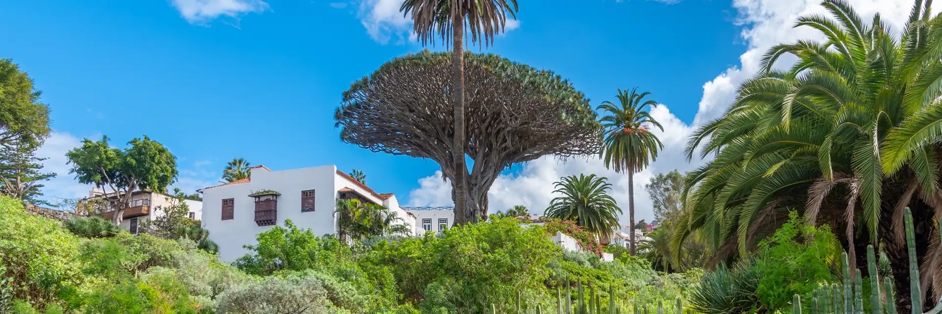 Icod de los Vinos, Tenerife