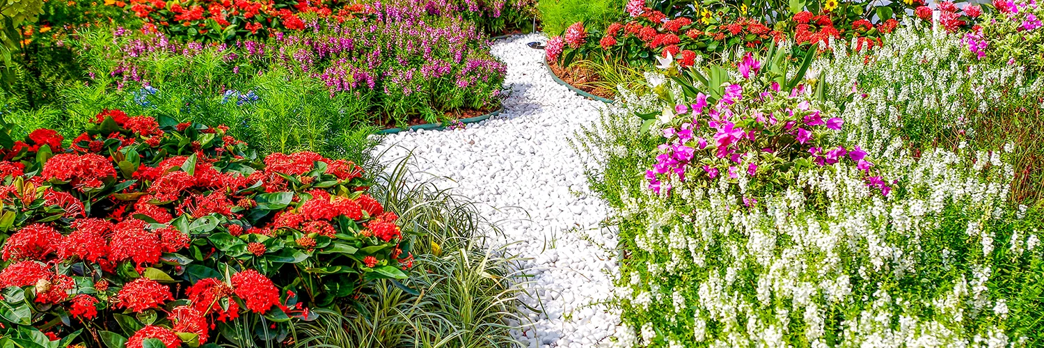 RHS Badminton Flower Show & Historic Bath