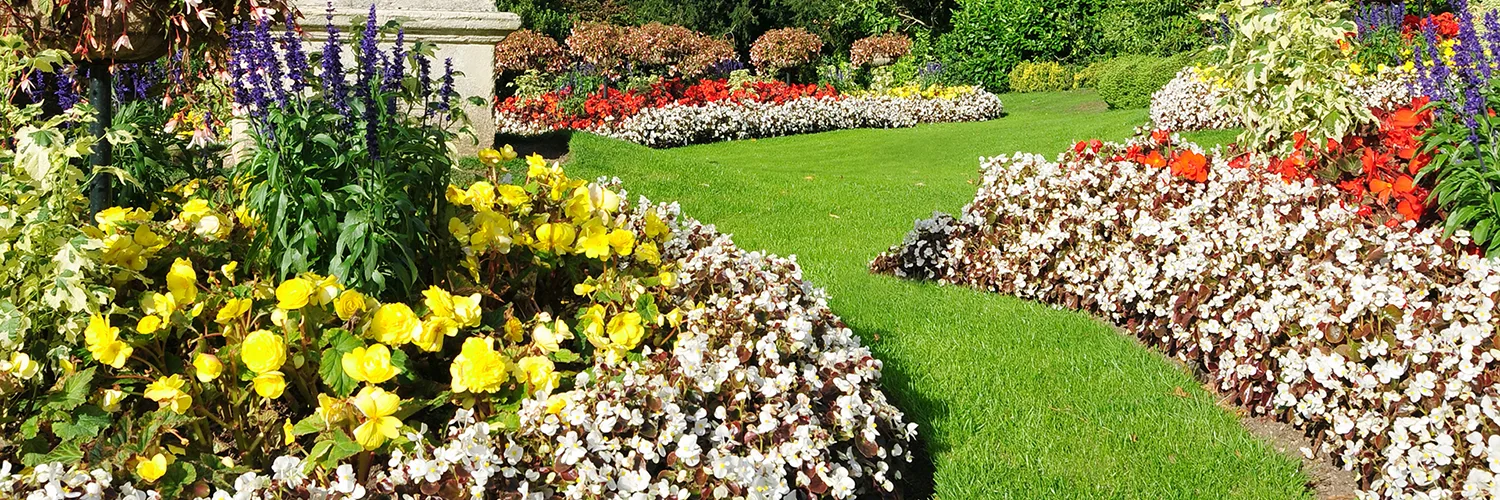 RHS Sandringham Flower Show & Classic Cambridge