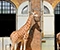 ZSL London Zoo