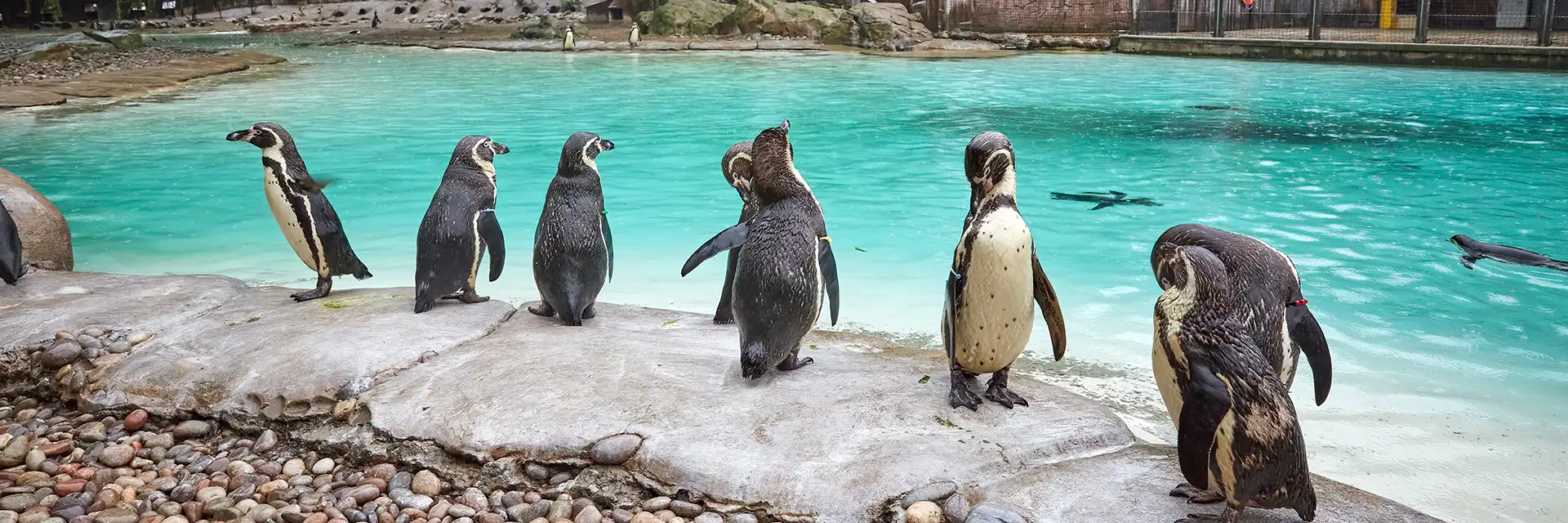 London Zoo, London, England