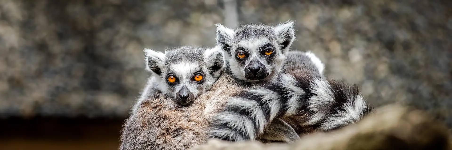 London Zoo, London, England