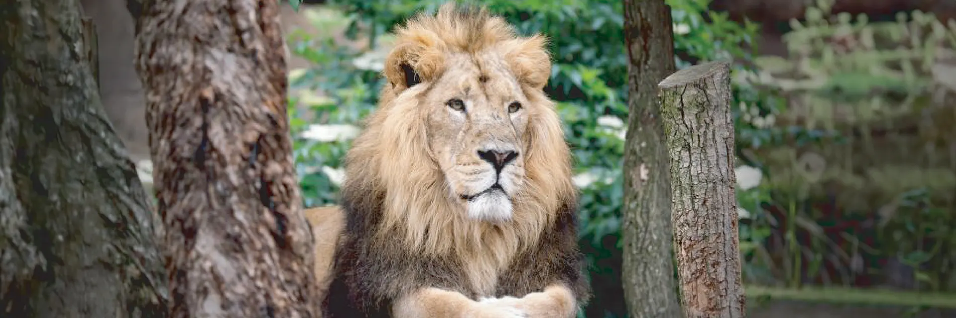 London Zoo, London, England