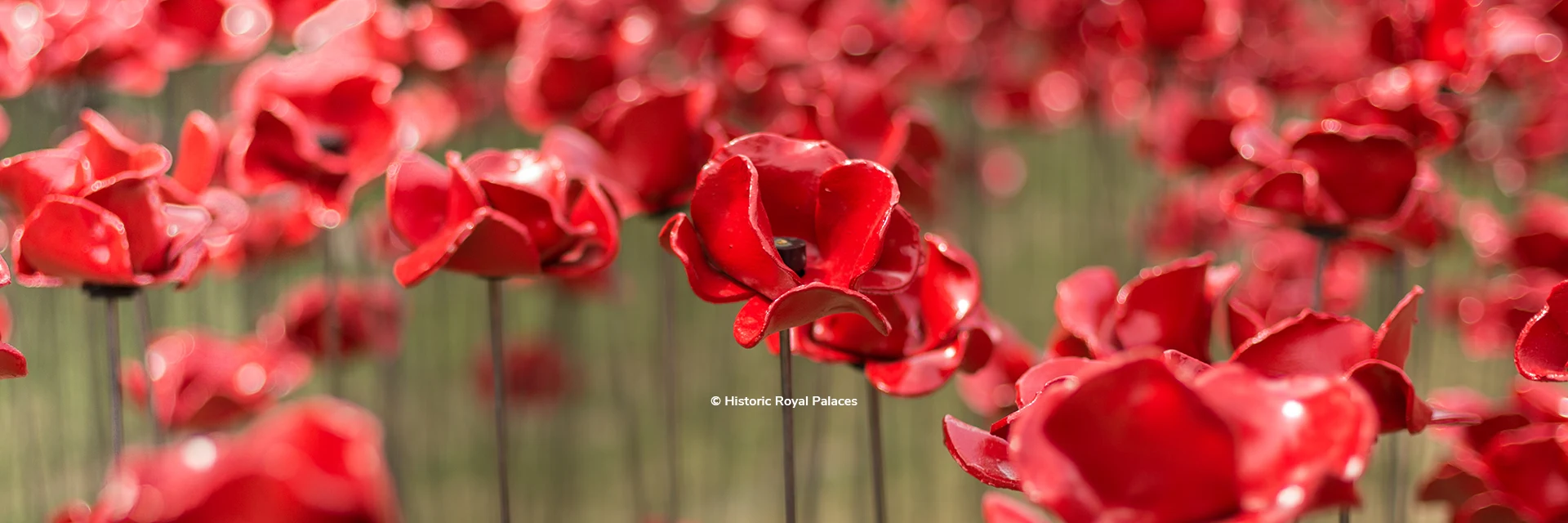 Poppies at the Tower installation at the Tower of London, London, England