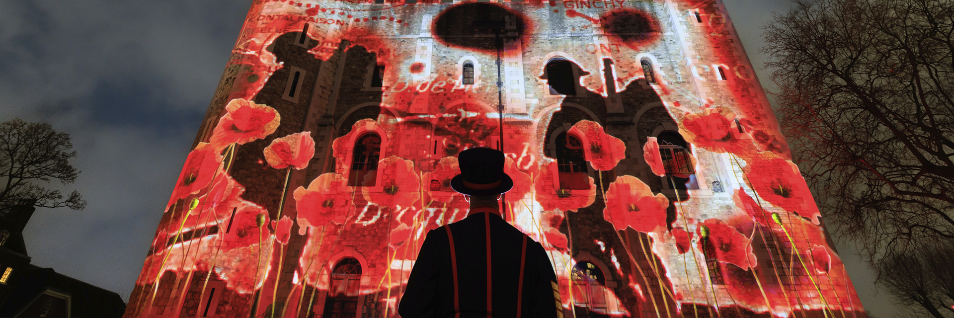 Poppy Fields at the Tower & London