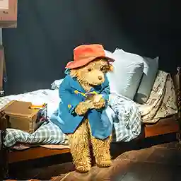 Paddington the Musical