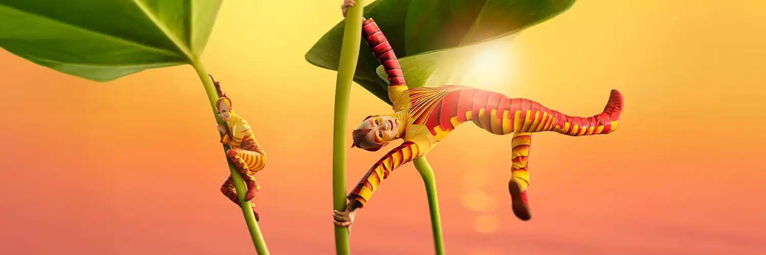 Cirque du Soleil - OVO at the Royal Albert Hall