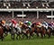 Cheltenham Gold Cup