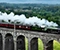Flying Scotsman