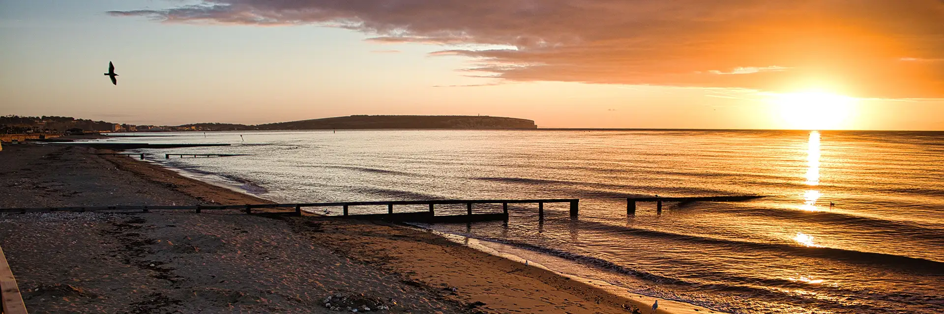 Isle of Wight 'Royals & Rails' – Turkey & Tinsel